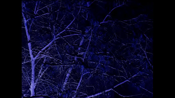 A Stairway To The Stars The Caretaker