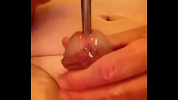 Favorite toy 1