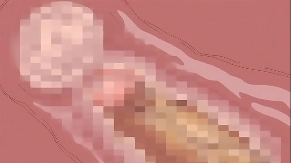 Viacutedeo de verificacioacuten