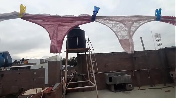 Tangas de mi vecina