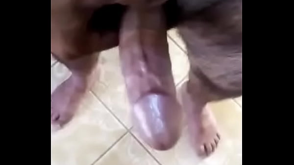 video1482352893