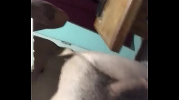 Viacutedeo de verificacioacuten