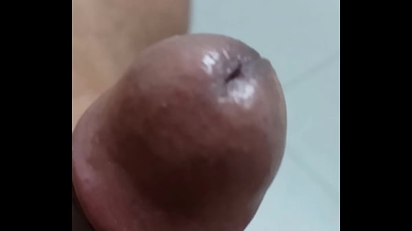 Piroca cabeccediluda em accedilatildeo