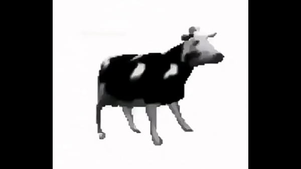 VACA baila al ritmo de counting stars
