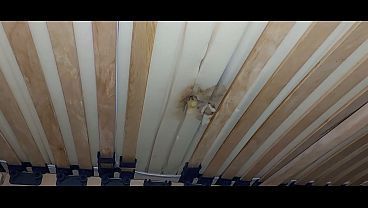 I fuck the hole in the mattress and I ejaculate under the bed