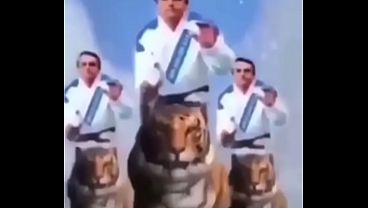 Impossiacutevel natildeo gozar vendo esse viacutedeo maravilhoso do Bolsonaro meme shitpost