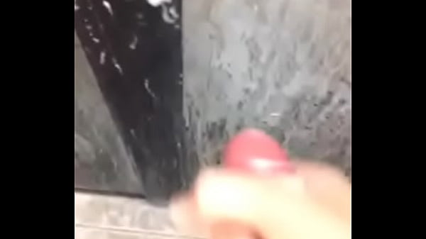 Gatinho gozando no s