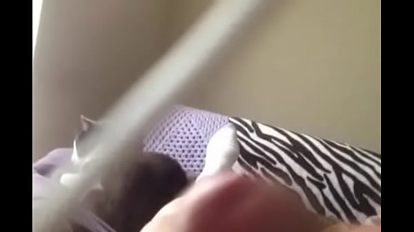 Video May 28 8 37 38 AM