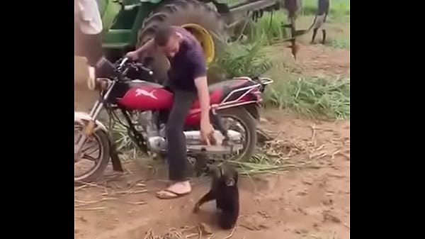 VID20170522WA0339