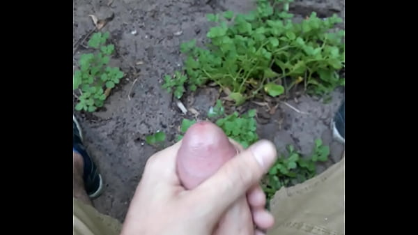 en el bosque acabando