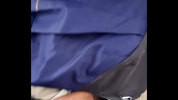 Pirocao no ocircnibus