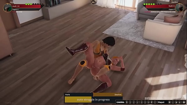 Horie VS Sherlinn Naked Fighter 3D