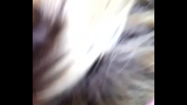 VID 20150809 142718