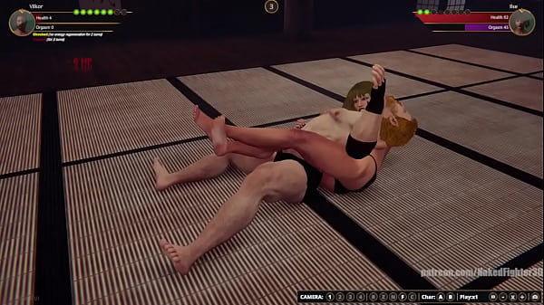 Vilkor VS Ilse Naked Fighter 3D