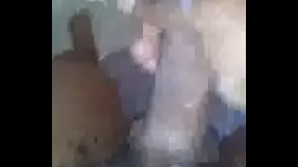 CAM00242