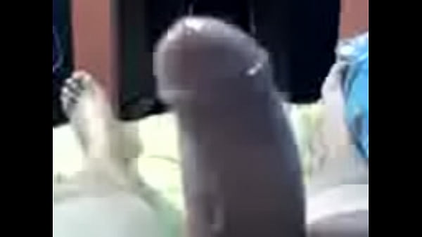 gran venida mia