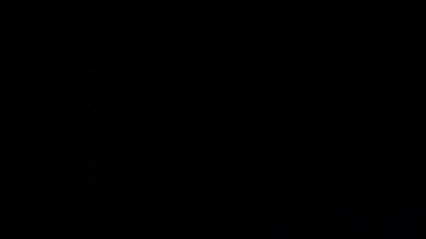 trim2A135B07BB46477198644044CE5E90F1MOV