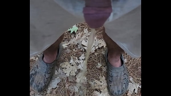 Kaso221  farm pee