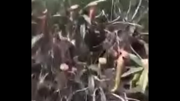 trimB9C12E05CA7F4A90B2EAD1E1A6DDFAF2MOV