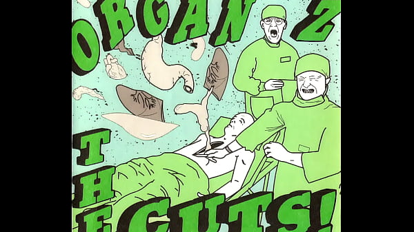Pregnancy Kick  The Organz
