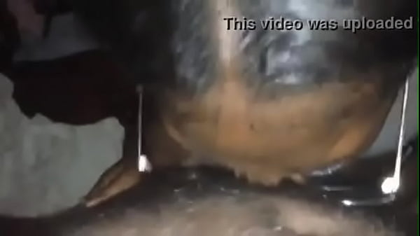 xvideoscom 679bf658c2c46b6219ede9091e40ef52