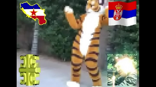 Arkanove Delije