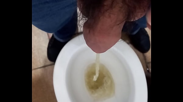 Mijada no banheiro puacuteblico