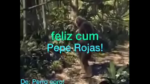 FELIZ CUMPLEANtildeOS PEPE ROJAS