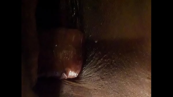 100 3287AVI