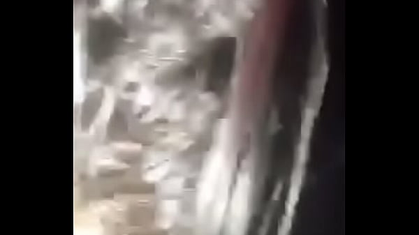trimB8D82FD8044C43C8BD30D15DD3865007MOV