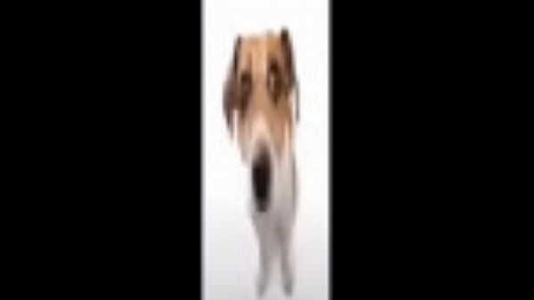 When haces tus momos en XVideos v