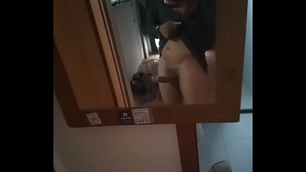 Viacutedeo de verificaccedilatildeo
