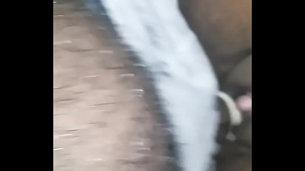 20170210 005254