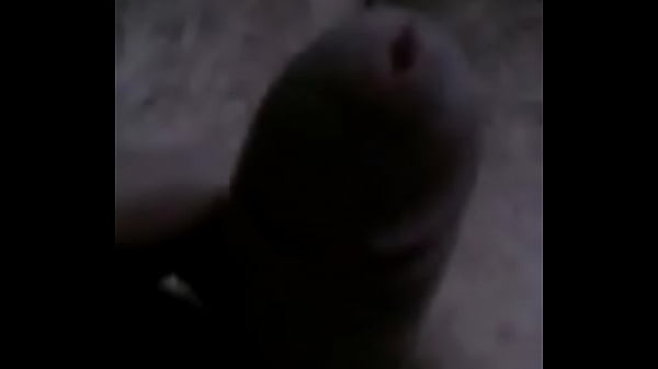 Meu pinto