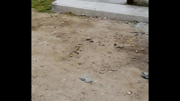 VID 20171129 062738750