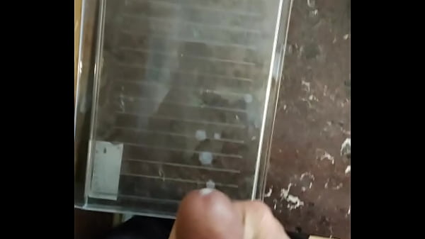cum 28