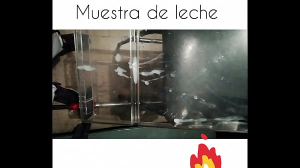 Muestra de leche