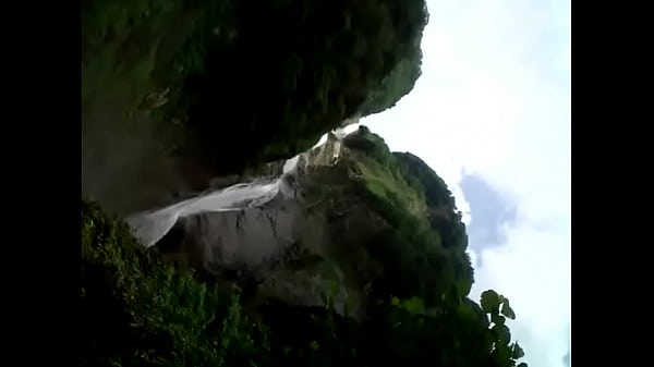 認証動画