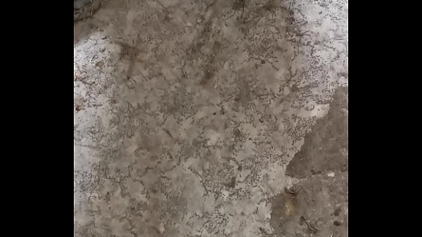 Hiteles iacute tő vide oacute 